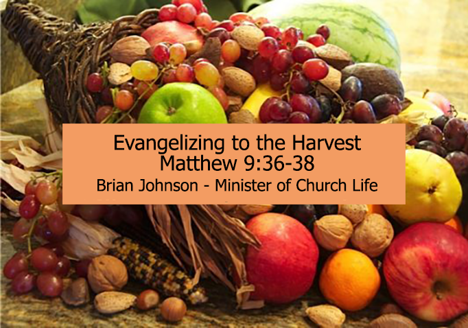 Evangelizing to the Harvest