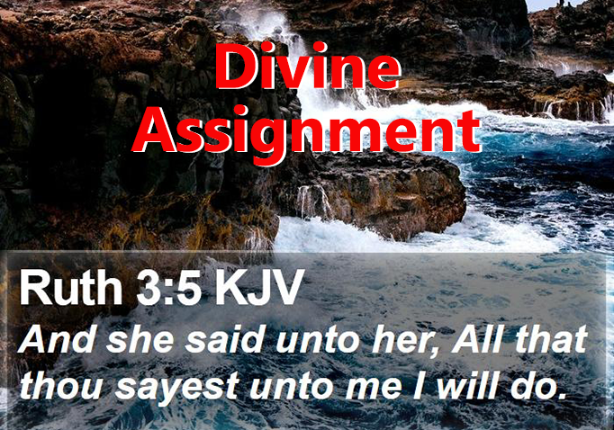 Divine Assignment